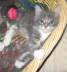 Bonny01 (26)