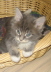 Bonny01 (27)
