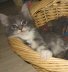 Bonny01 (28)