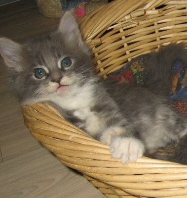 Bonny01 (28)