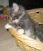 Bonny01 (29)