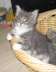 Bonny01 (30)
