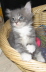 Bonny01 (31)