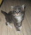 Bonny01 (3)