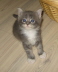 Bonny01 (5)