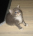 Bonny01 (8)