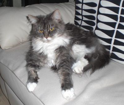 Pebbles 024
