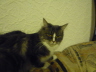Chenoa (13)