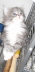 Fee 01 (26)