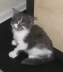 Filou 001