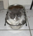 Filou 004
