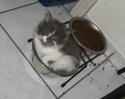 Filou 005