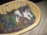 Filou 008