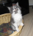 Filou 011