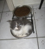 Filou 012
