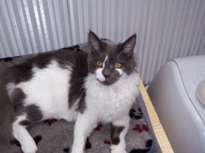 Filou 020
