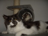 Filou und Fee 021