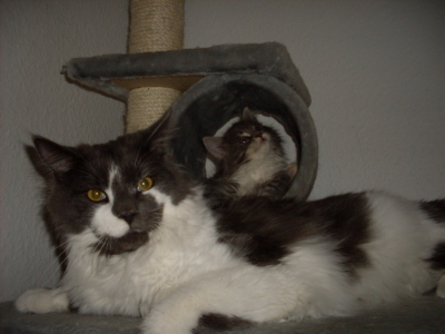Filou und Fee 021