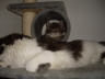 Filou und Fee 022