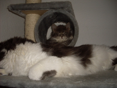 Filou und Fee 022