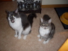 Filou und Fee 024