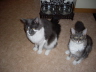 Filou und Fee 025