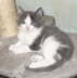 Gismo 01 (26)