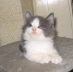 Gismo 01 (32)