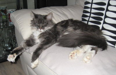 Pebbles 025