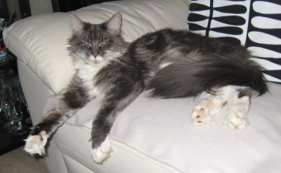 Pebbles 026