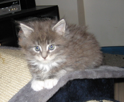 Jerry (21)
