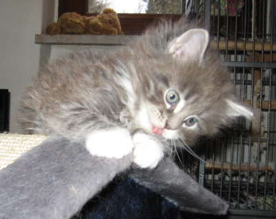 Jerry (22)