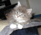 Jerry (23)