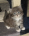 Jerry (2)