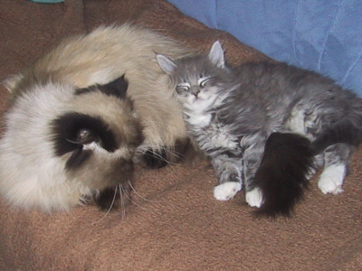 Jerry & Winston (30)