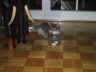 Jerry (34)