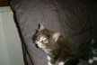 Lou 003