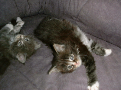 Lou und Paul 012