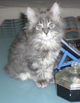 Maja (20)