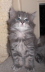 Maja (6)