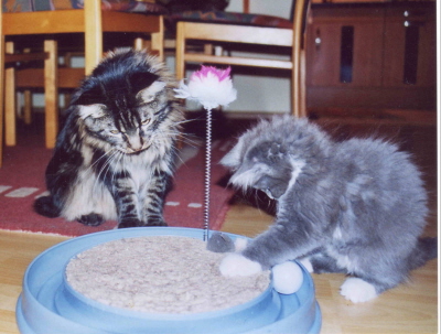 Max & Moritz
