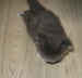 Moritz 01 (7)