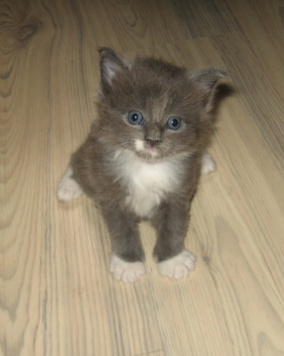 Moritz 01 (8)