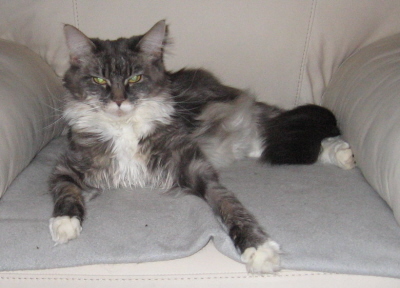 Pebbles 014