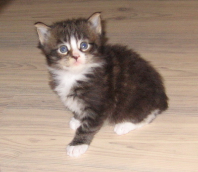 Sascha 004