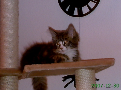 Sascha 018