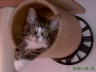 Sascha 019