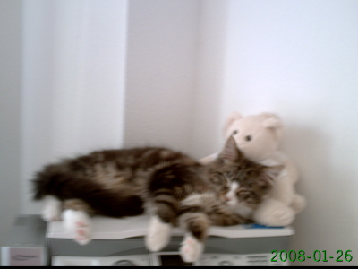 Sascha 023