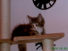 Sascha 024