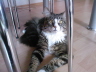 Sascha 034